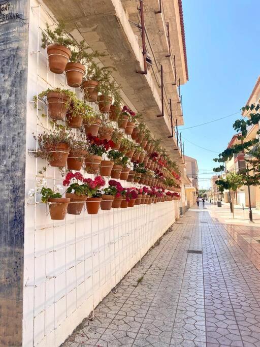 Vila Casa Naranja Los Alcázares Exteriér fotografie